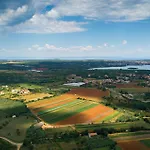 Milemanda Пула